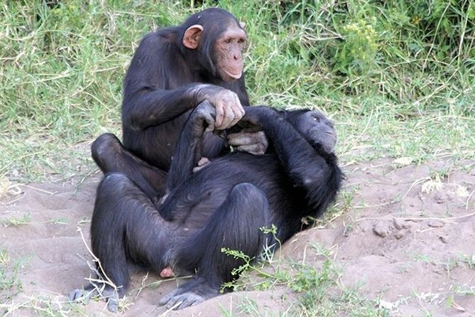 Ol Pejeta Conservancy Day Tour from Nairobi - The 5am Nairobi pickup and road to Nanyuki