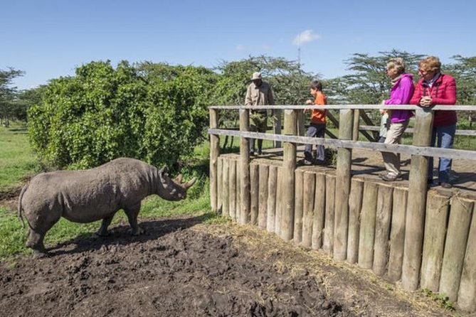 Ol Pejeta Conservancy Day Tour from Nairobi - Sweetwaters Serena Camp and the watering hole