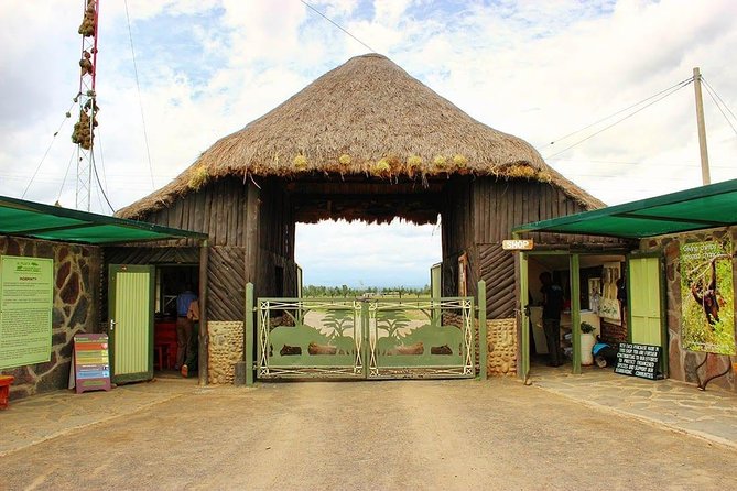 Ol Pejeta Conservancy Day Tour from Nairobi - Returning to Nairobi after the second drive