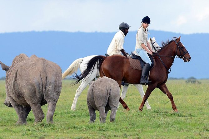 Ol Pejeta Conservancy Day Tour from Nairobi - What the $380 price really buys