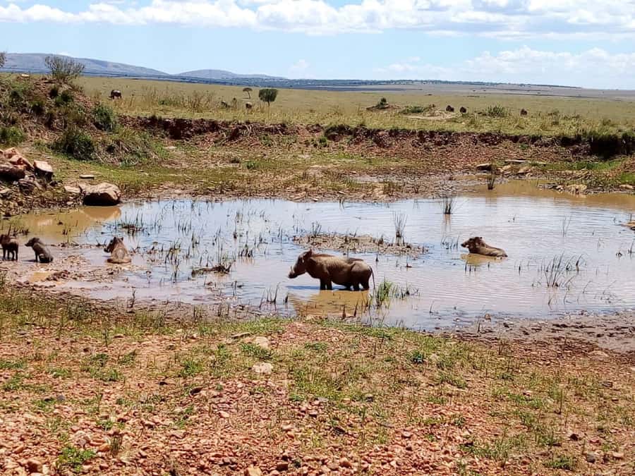 Ol Pejeta Conservancy Full Day Tour From Nairobi - Standing on the Equator in Nanyuki