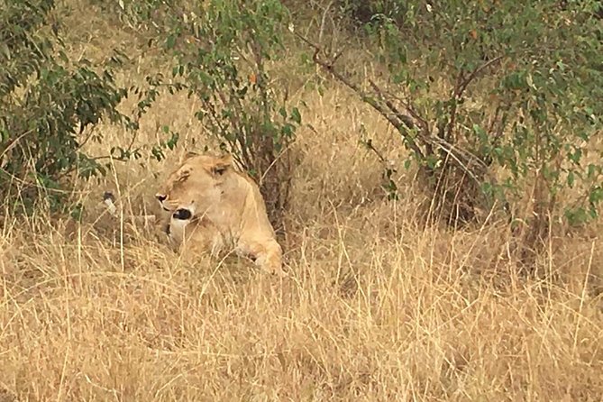 Olpejeta conservancy Day tour - Lunch and the second half of the day