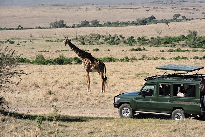 Olpejeta, Lake Naivasha, Masai Mara 5 Days Private Kenya Jeep tour - The guide can make or break the safari