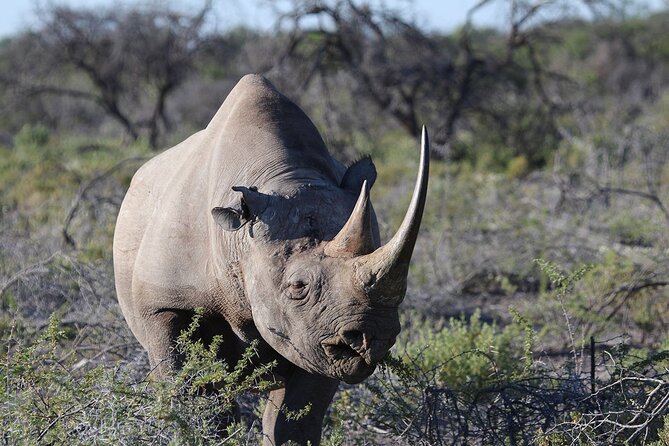 One Day Tour to Maasai Mara Game reserve from Nairobi - Reaching the Maasai Mara River