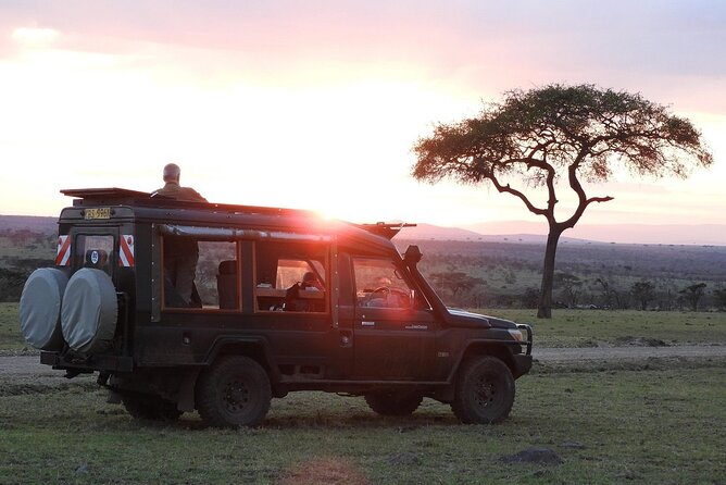 One Day Tour to Maasai Mara Game reserve from Nairobi - Who Will Get the Most From This Safari?