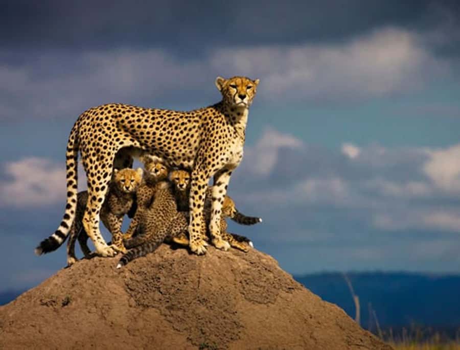 Overnight Private Safari To Masai Mara - The Great Rift Valley viewpoint