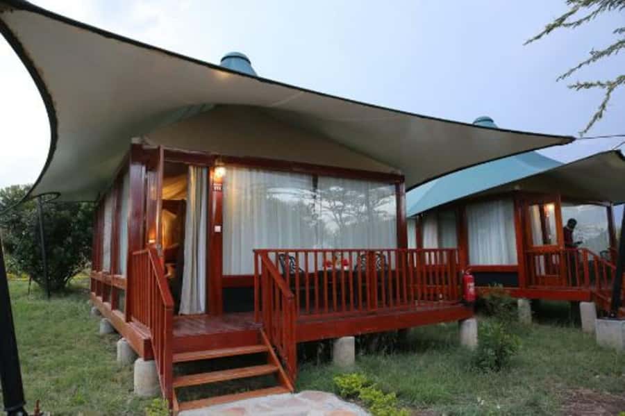 Overnight Private Safari To Masai Mara - Bird watching beyond the Big Five
