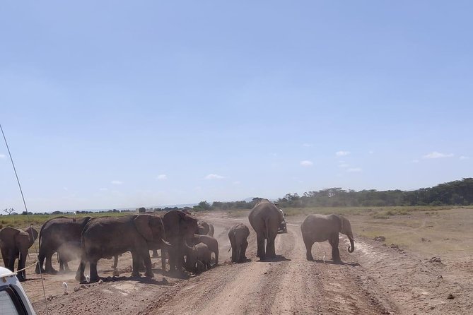 Overnight Safari to Amboseli National Park - Why Amboseli works for a two-day safari