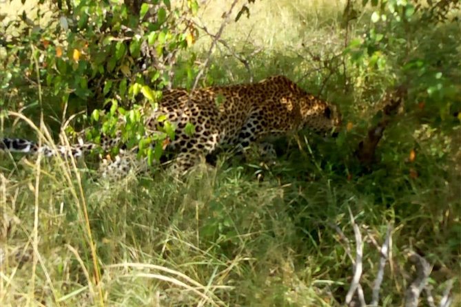 Overnight Safari To Maasai Mara - The real shape of this two-day safari