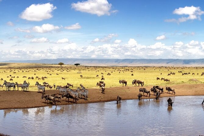 Overnight Safari To Maasai Mara - The early morning drive on day two