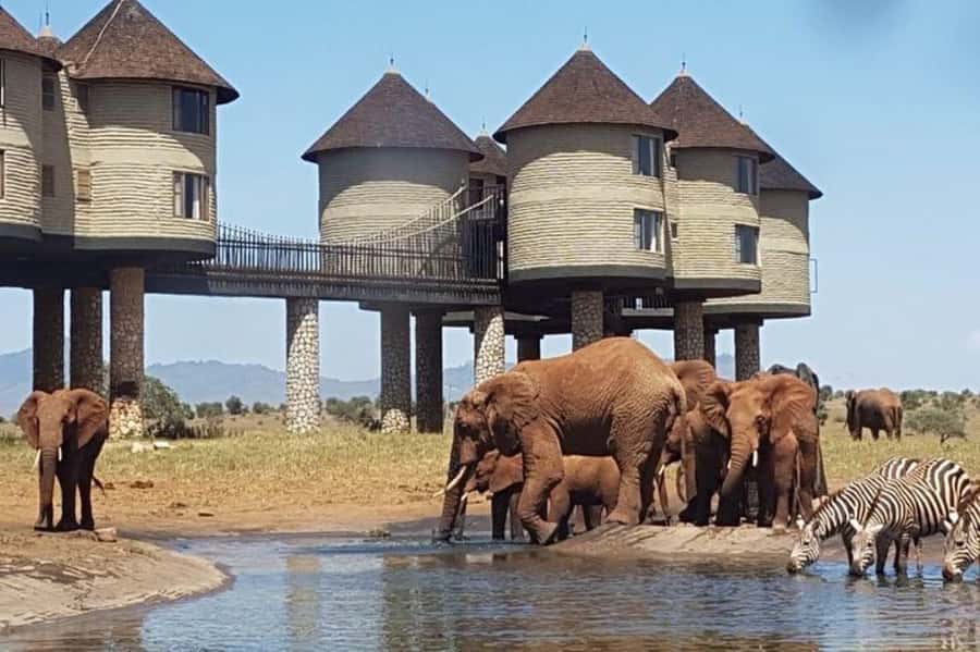 Overnight Safari to Saltlick through Tsavo East Park - Aruba Dam and the value of dry-season timing