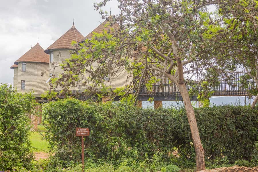 Overnight Safari to Saltlick through Tsavo East Park - Who should book this safari?