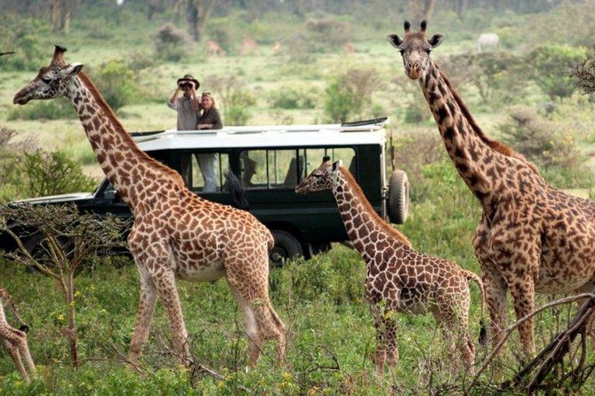 Overnight Safari to Tsavo East National Park from Mombasa/Diani - Why Tsavo East makes a good short safari