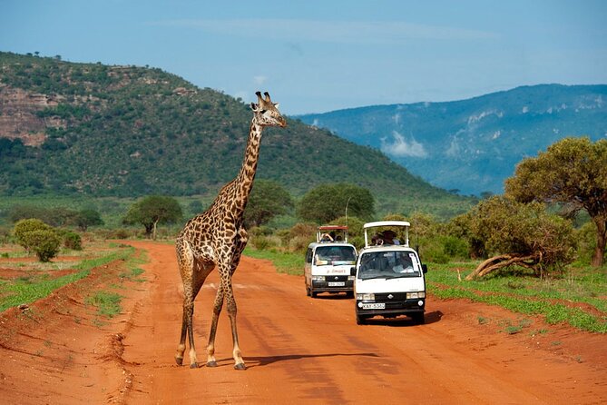 Overnight Safari to Tsavo East National Park from Mombasa/Diani - Entering Tsavo East through Bachuma Gate