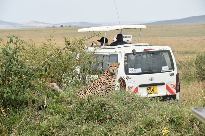 Overnight Safari to Tsavo East with Pick Up From Mombasa - Morning game viewing and the 1952 Aruba Dam