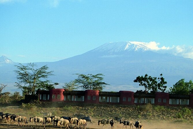 Overnight Tour in Amboseli National Park from Nairobi - Key points to know before booking
