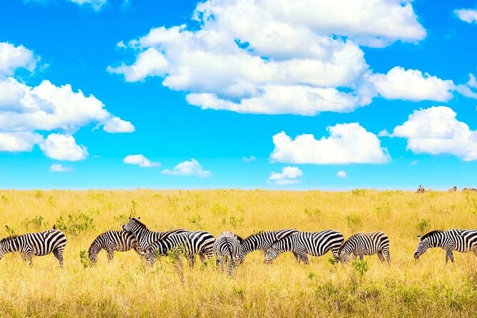 Overnight Tour in Amboseli National Park from Nairobi - The 7:30 am departure from Nairobi