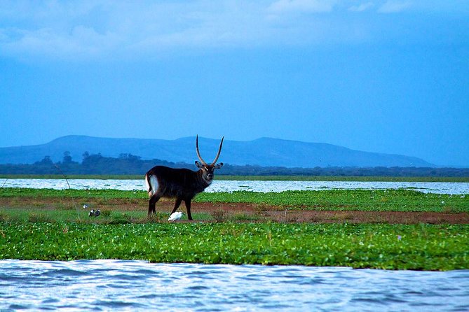 Overnight tour to mount Longonot and Hells Gate Naivasha - The 30-minute Rift Valley viewpoint