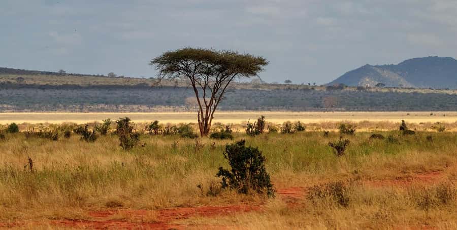 Overnight Tsavo East Safari From Mombasa/Diani (Private) - Key things to know before booking