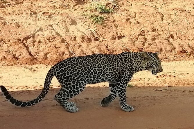Private 3 Day Tsavo East Safari from Mombasa - Is $785.82 per person good value?