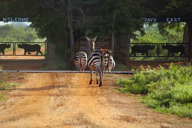 Private 3 Day Tsavo East Safari from Mombasa - The three-hour trip from Mombasa to Bachuma Gate