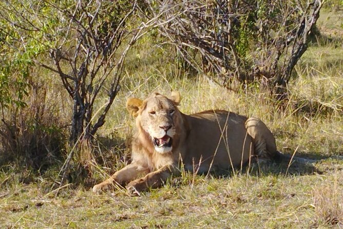 Private 5 Day Maasai Mara with Lake Nakuru and Lake Naivasha Tour - Why this five-day route works