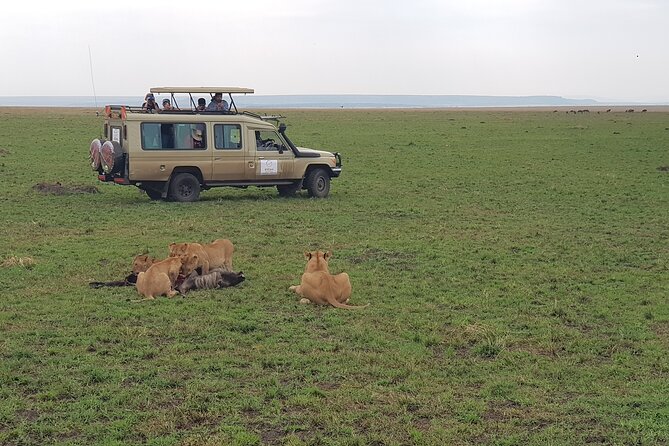Private 5 Day Maasai Mara with Lake Nakuru and Lake Naivasha Tour - Day 3: From Maasai Mara to Lake Nakuru