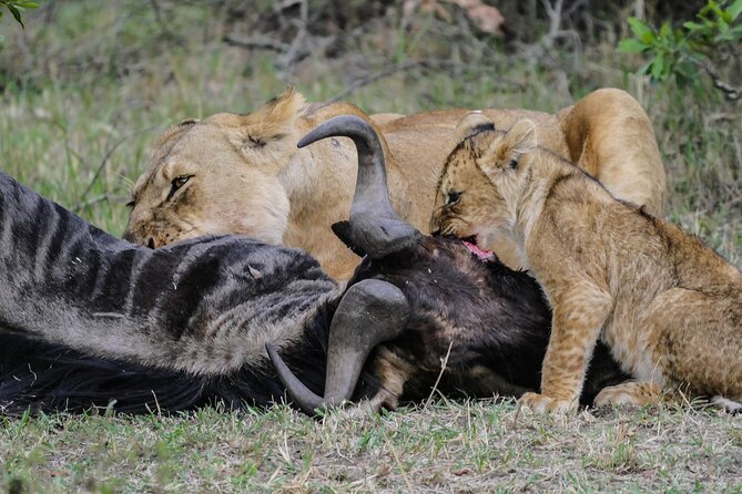Private 7 Days Kenya Safari Amboseli, Naivasha, Nakuru, Mara - Day 3: The Rift Valley and a walking safari at Hell’s Gate