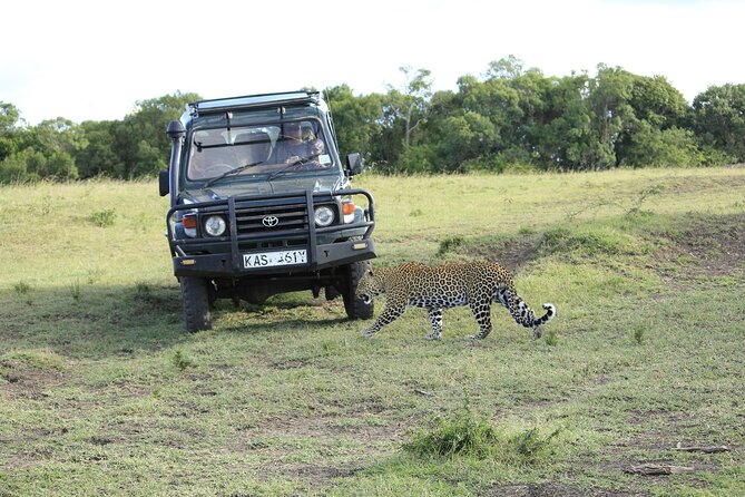 Private 7 Days Kenya Safari Amboseli, Naivasha, Nakuru, Mara - Day 5: Entering the Masai Mara