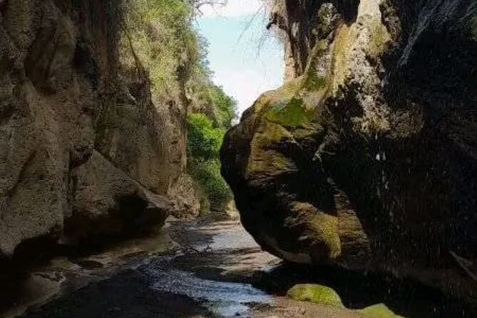 Private Day tour to Hell's Gate National Park and Lake Naivasha - Who should book this experience