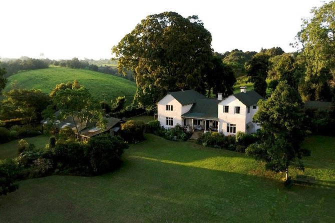 Private Day Trip to Kiambethu Tea Farm in Limuru from Nairobi - A three-course lunch made at the farm