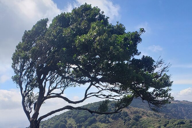 Private Half Day Hike to Ngong Hills from Nairobi - Why Ngong Hills makes a strong Nairobi escape