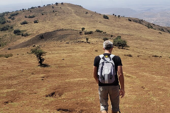 Private Half Day Hike to Ngong Hills from Nairobi - Lunch and the return to your hotel