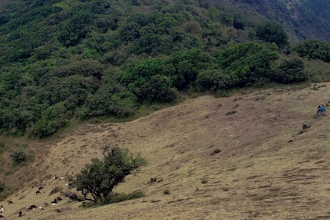 Private Half Day Hike to Ngong Hills from Nairobi - Who will enjoy this hike most