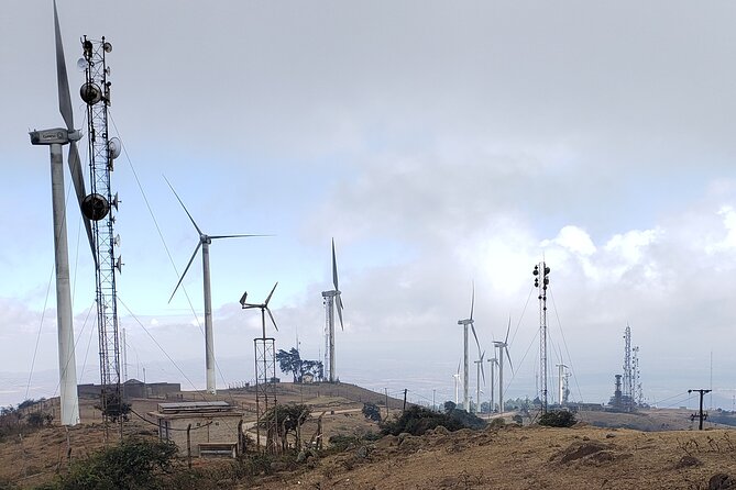 Private Half Day Hike to Ngong Hills from Nairobi - From Nairobi pickup to the KenGen windmills