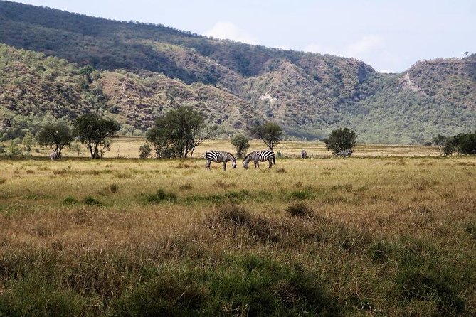 Private Hiking Day Trip to Mt. Longonot from Nairobi - Why this Nairobi day trip works so well