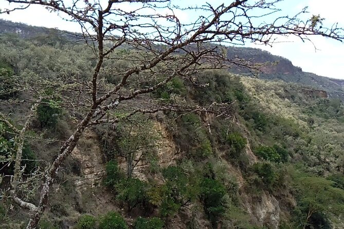 Private Hiking Day Trip to Mt. Longonot from Nairobi - A one-hour boat ride for hippos and fish eagles