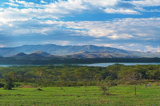 Private Layover Tour to Hells Gate National park with Optional Boat Ride - Lake Naivasha and the optional one-hour boat ride