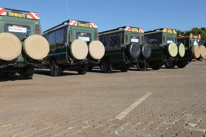 Private Mini Safari Tour in Nairobi - A practical choice for a Nairobi layover