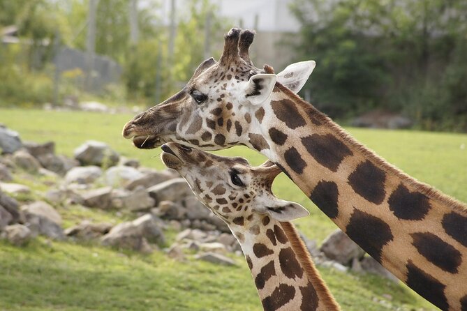 PRIVATE: MOMBASA FULL DAY TOUR and EXCURSUION - Who should book this private excursion?