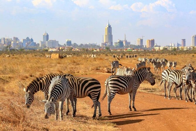 Private Nairobi National Park Day Tour - Why Nairobi National Park is such an unusual safari setting
