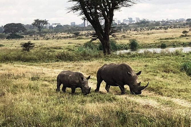 Private Nairobi National Park Day Tour - Who will enjoy this Nairobi safari most