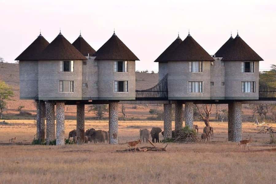 PRIVATE OVERNIGHT SALTLICK SAFARI FROM MOMBASA OR DIANI - Salt Lick’s raised towers and water holes