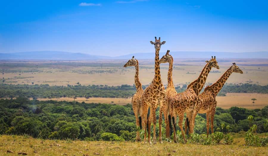 Private Safari Day-Tour in Amboseli National Park - Entering Amboseli for the first game drive