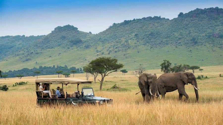 Private Safari Day-Tour in Amboseli National Park - The 5:00 a.m. departure from Nairobi