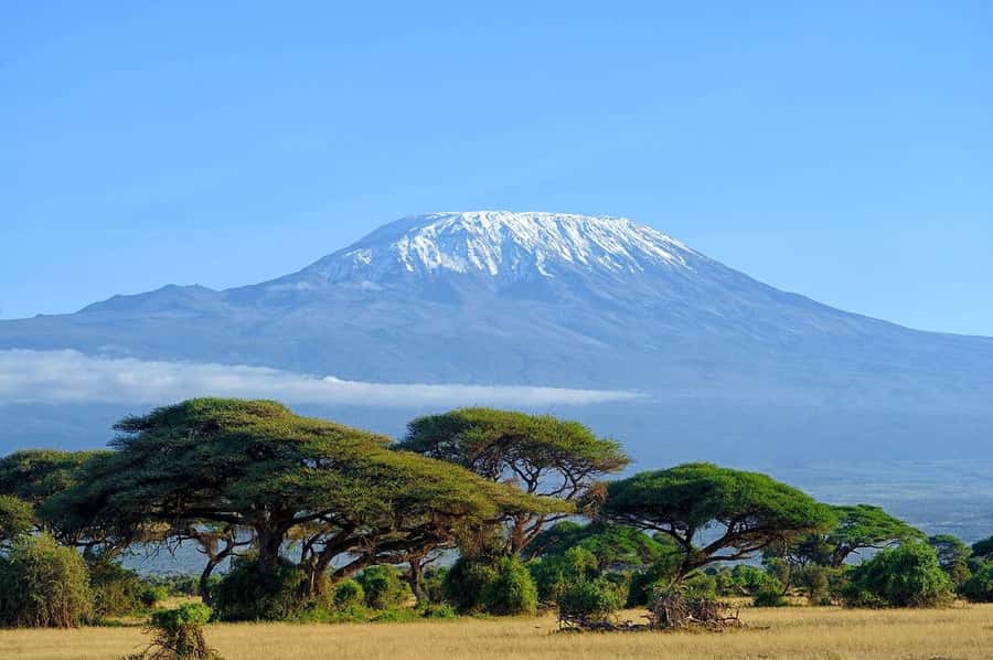 Private Tour to Amboseli National Park - Key points to know before booking