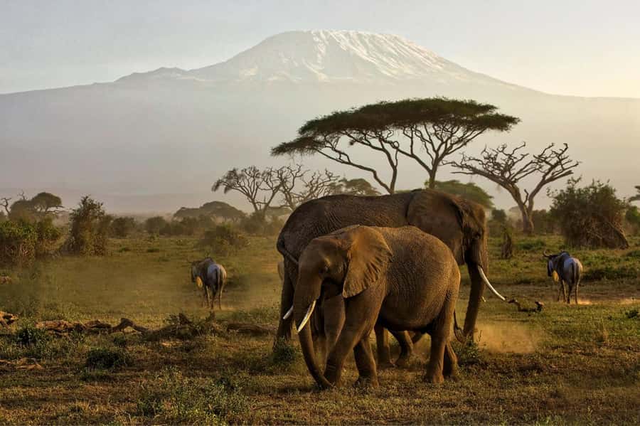 Private Tour to Amboseli National Park - The road to Amboseli and the changing scenery