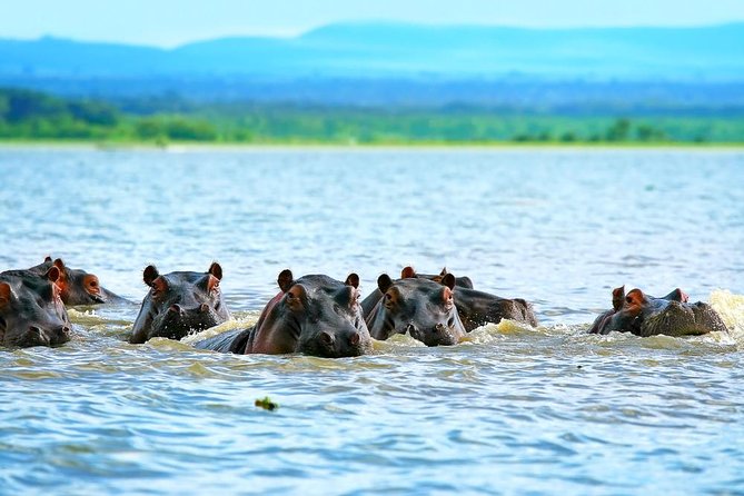 Private Tour to Mount Longonot and Optional Boat Ride on Lake Naivasha - The 6:30 a.m. Rift Valley viewpoint