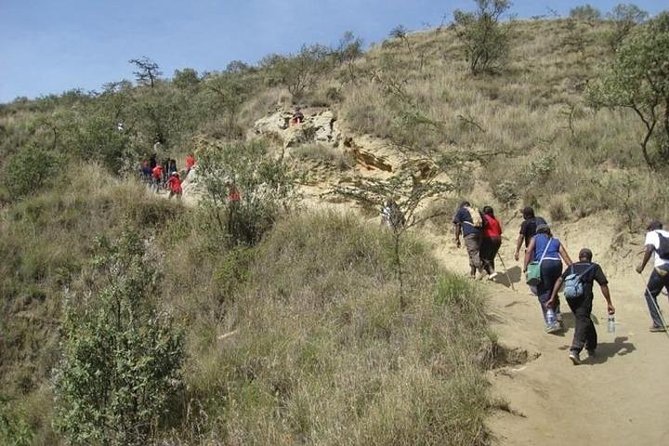 Private Tour to Mount Longonot and Optional Boat Ride on Lake Naivasha - The optional Lake Naivasha boat ride
