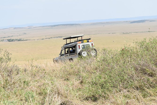 Private Transfer from Nairobi Airport or city To Maasai Mara By Road - Who will appreciate this service most?